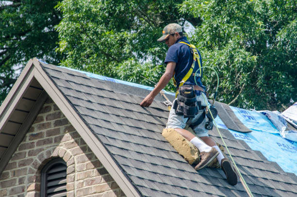 Best Roof Gutter Cleaning  in Andusia, AL